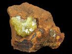 Gemmy, Yellow-Green Adamite Crystals - Durango, Mexico #65289-1